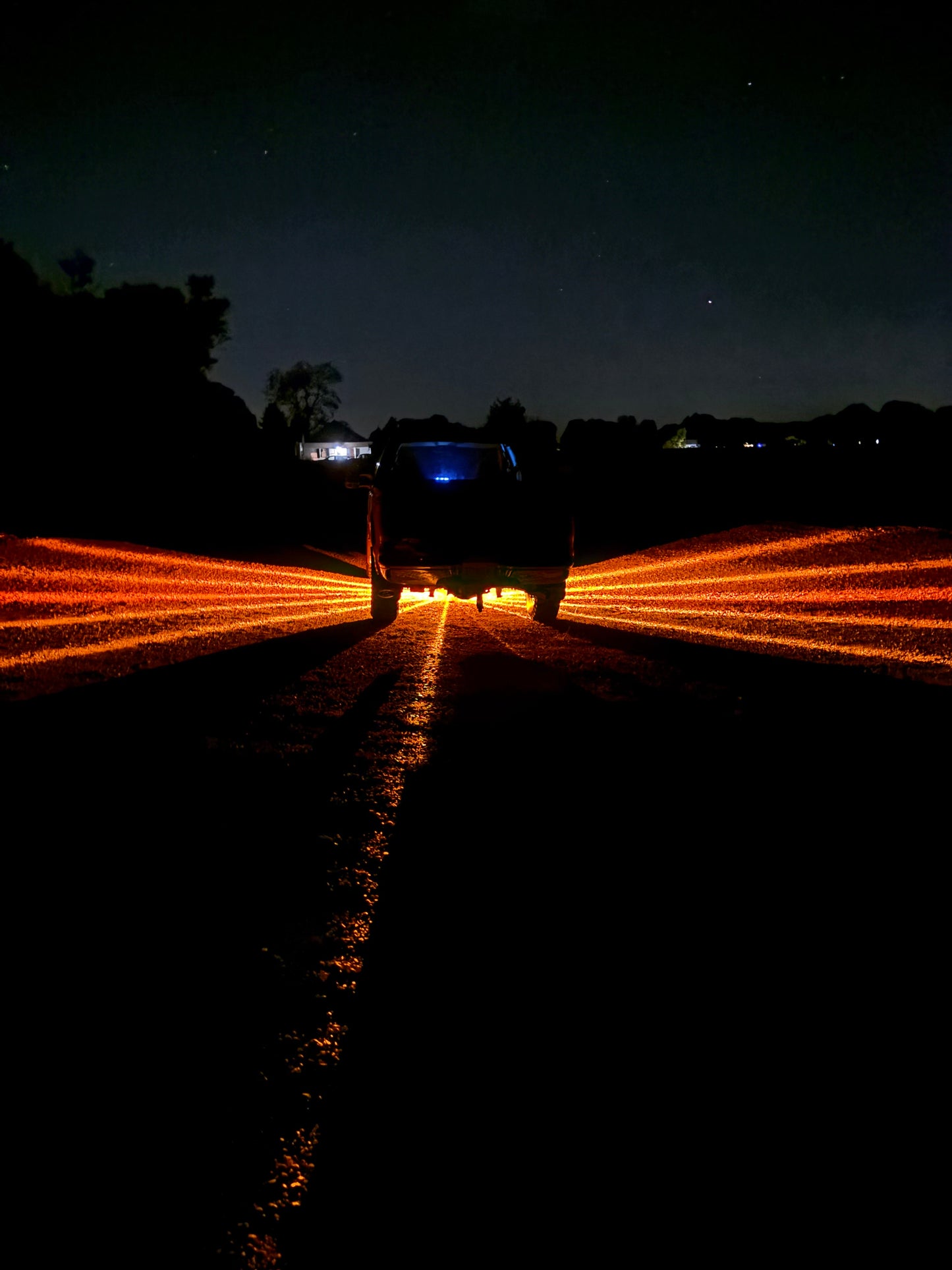 H11 Amber Bulb Watermelon Light